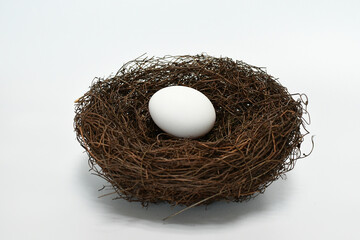 bird nest with eggs