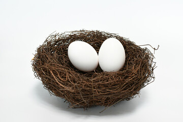 bird nest with eggs