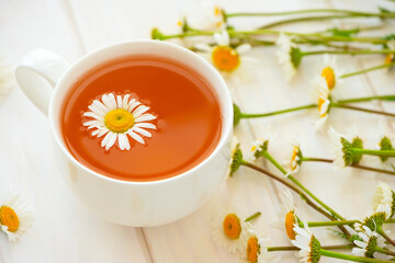 Herbal tea with fresh chamomile flowers on white wooden background. Soft focus