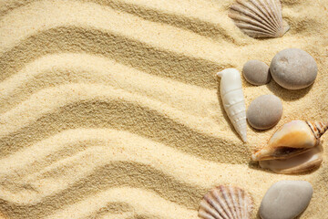 Fototapeta na wymiar Frame from shells on sandy beach. Summer background. Top view. Copy space