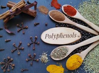 Set of various spices - foods high in polyphenols. Polyphenols are compounds with antioxidant properties, naturally found in spices, offers various health benefits. Clove, cinnamon, rosemary, oregano.
