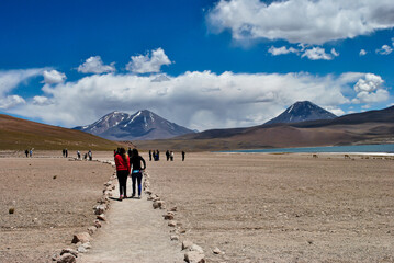 Trekking in the Miscanti lagoon in San Pedro de Atacama, Chile.