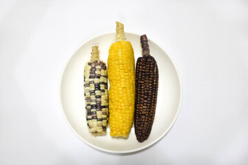 Cob of corn in various color such as yellow corn, purple corn and mixed color corn in the white background