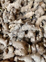Close-up photo of ginger in market. Vegetable texture and background.