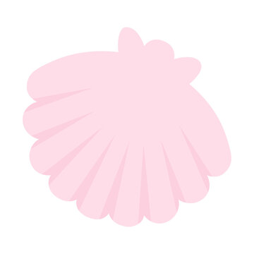 貝殻 Images Browse 13 857 Stock Photos Vectors And Video Adobe Stock