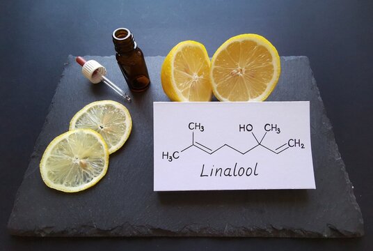 Structural chemical formula of linalool with fresh citrus fruits and a cosmetic glass bottle. Linalool is an aromatic terpene, the major component of essential oils, used in floral fragrances.