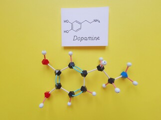 Molecular structure model and structural chemical formula of dopamine molecule. Dopamine is an...