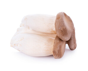 King oyster mushroom Pleurotus eryngii on white background