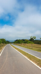 Fototapeta premium Bicycle lane in the park.A part of a road that is separated by a line from the rest of the road, for the use of people riding bicycles
