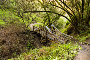 Bridge in a grotto