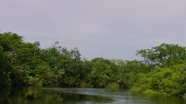 The camera moves down a river that passes by the Lamanai Mayan ruins of Belize.
