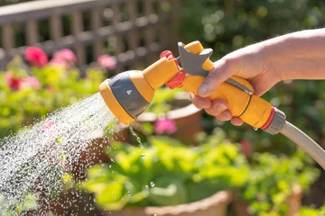 Poster Hand holding a watering hose spray gun watering plants in a garden. UK © david