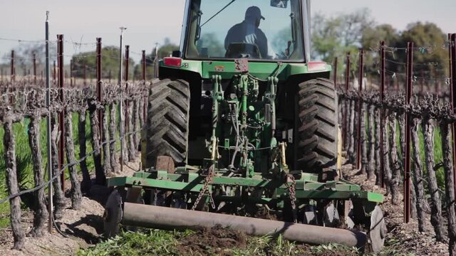 A tractor mows a cover crop between rows of grapes on a California vineyard