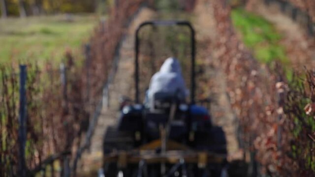 Rack focus of an agricultural worker driving a tractor a California vineyard