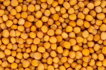 Closeup mustard seeds background