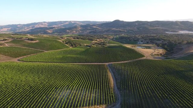 Beautiful aerial of hilly vineyards in the grape growing region of California&rsquo;s santa rita appellation
