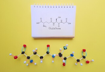 Molecular structure model and structural chemical formula of Glutathione molecule. Glutathione is...