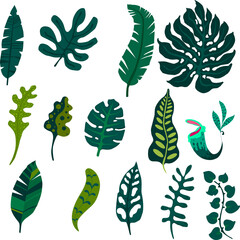 set of tropical leaves, vector illustration isolated on white background, cartoon style © lazarevhjy