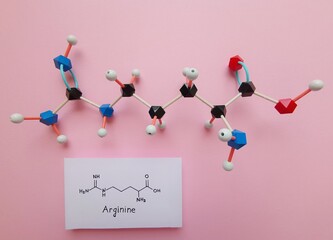 Molecular structure model and structural chemical formula of Arginine molecule. Arginine...