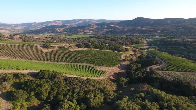 Beautiful aerial of hilly vineyards in the grape growing region of California&rsquo;s santa rita appellation