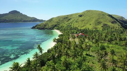 An aerial view shows palm trees on Yanuya Island, Fiji.