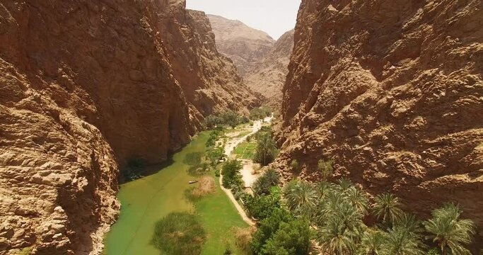 An aerial view shows a waterway and greenery between canyons in Wadi Shab, Oman.