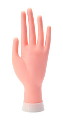 Obraz premium Mannequin Hand