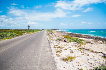 road to the sea with ocean view and palm. Mexico, Cozumel island. Tropical and scenic landscape. 