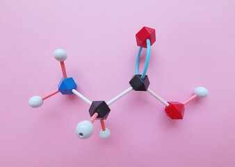 Molecular structure model of glycine molecule. Glycine ( Gly or G) is the simplest amino acid and...