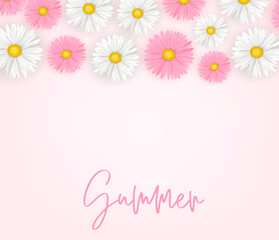 Summer background. Realistic white and pink daisy flowers. Vector illustration with lettering.