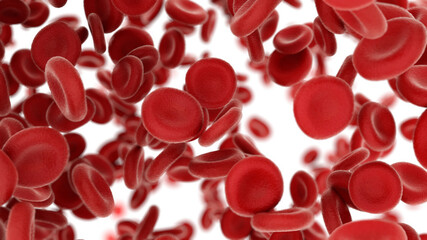 3d render Blood cells flying through arteries on white background