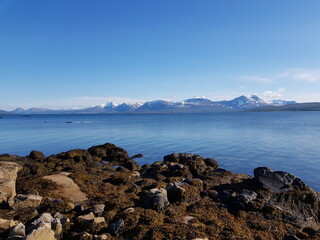 calm blue fjord surface in summer sunlight in northern Norway