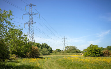 Pylons beside a footpath.