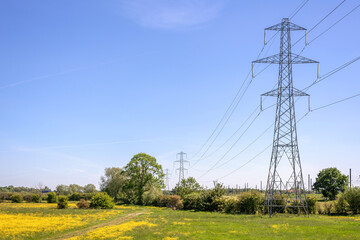 Pylons and field of buttercups.