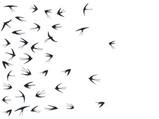 Flying martlet birds silhouettes vector illustration. Migratory martlets group isolated on white. 