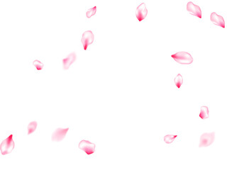 Spring tree flowers parts, airy flying petals