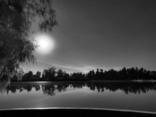 Blanco y Negro en el lago al amanecer, blan