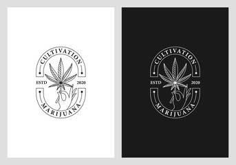 marijuana logo design premium vector