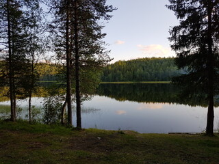 Obraz premium mirror calm lake surrounded by colorful autumn forest in helgeland Mosjoen, northern Norway