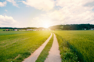 Road goes through valley, green field, the hills at the sunset. Copy space text.