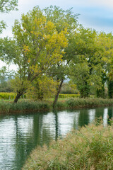 Fototapeta na wymiar Colored Treesalong the river, autumn season