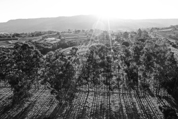 Obraz premium Aerial landscape of soccer stadium in the sunny day. Great landscape.