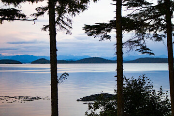 A view of a strait of water through some trees in British Columbia, Canada