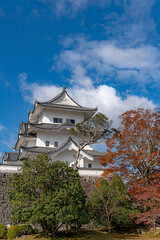 Fototapeta premium 伊賀上野城 天守閣