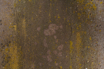Yellow lichen on worn concrete flooring industry leaving dull dormancy recession weathered skin cosmetics street moss pressure washer
