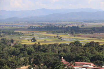 Fototapeta premium Paysage rural au lac Inle, Myanmar 