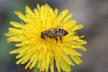 풍경, 사진, 달, 도로,