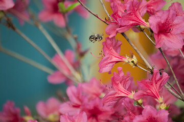 풍경, 사진, 달, 도로,