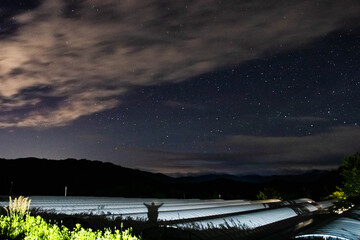 풍경, 사진, 달, 도로,