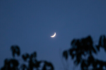 풍경, 사진, 달, 도로,